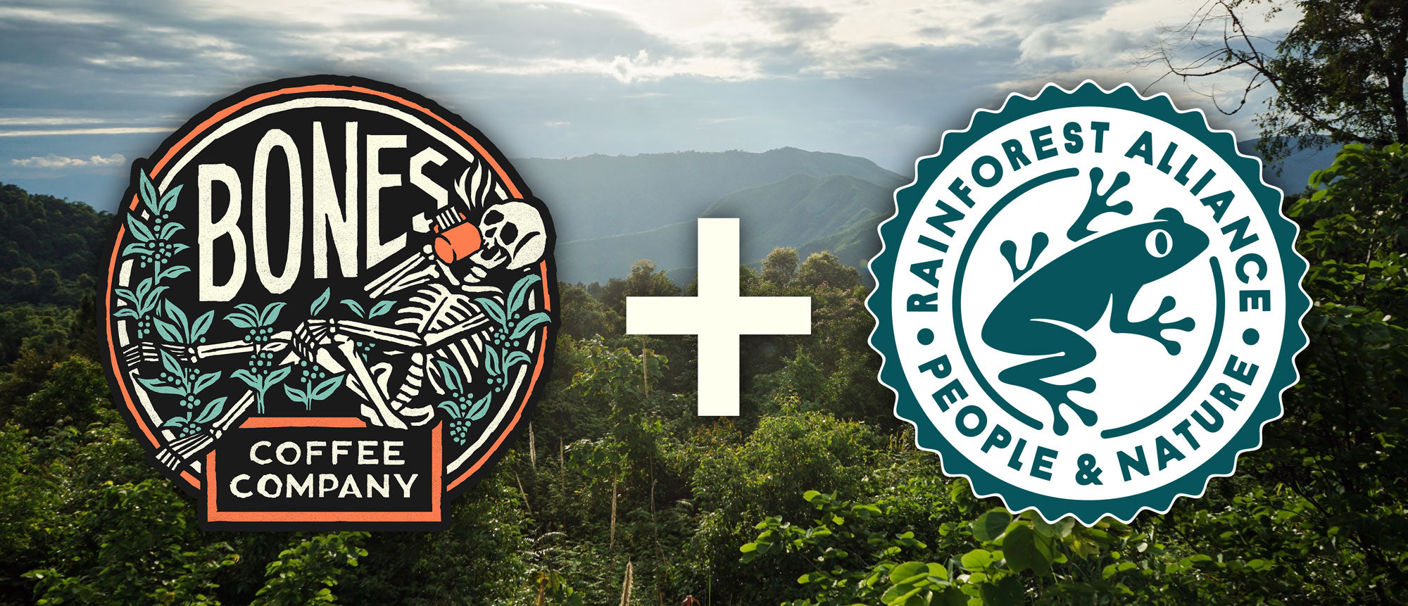 The Bones Coffee Company logo and the Rainforest Alliance logo on top of an image of a rainforest.